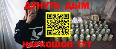 сатива Камышлов