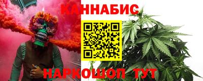 сатива Камышлов