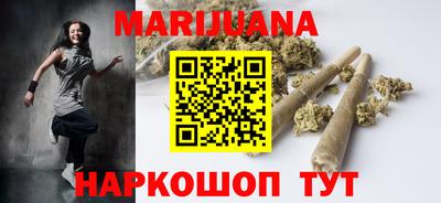 сатива Камышлов