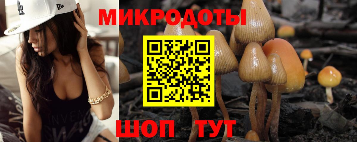 Галлюциногенные грибы прущие грибы Кропоткин