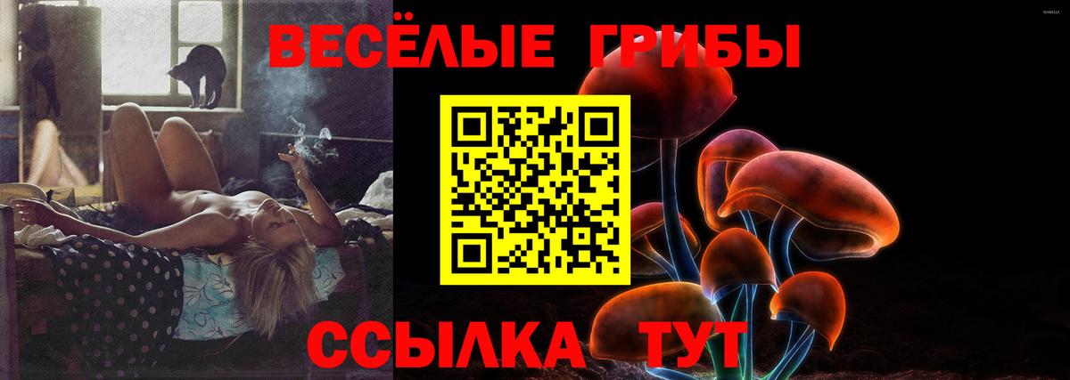 Кропоткин  Псилоцибиновые грибы ЛСД  Вход с VPN 